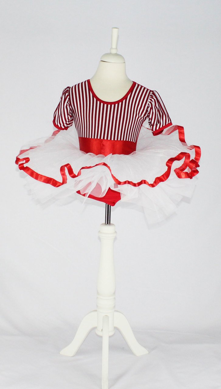 Kiralık Bale Gösteri Dans Kostümü 9