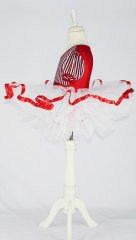 Kiralık Bale Gösteri Dans Kostümü 9