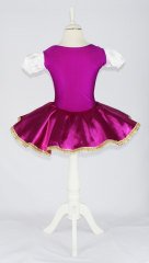 Kiralık Bale Gösteri Dans Kostümü 32