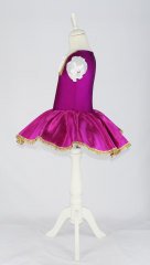 Kiralık Bale Gösteri Dans Kostümü 32