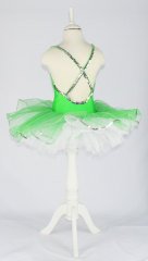 Kiralık Bale Gösteri Dans Kostümü 35