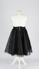 Kiralık Bale Gösteri Dans Kostümü 74